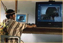 Source: Tom�s Muller 2001